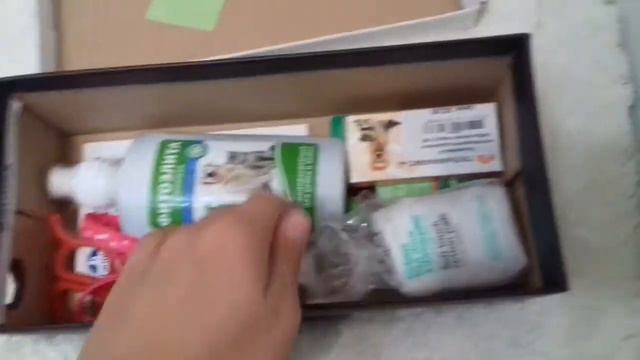 Хранение вещей моей собаки)* смотреть онлайн