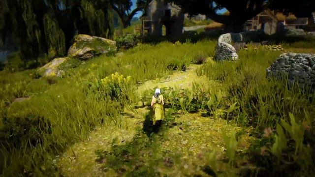 BlackDesert - Проблема с графикой