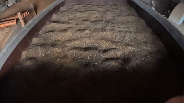 Сушка и сортировка Люцерны