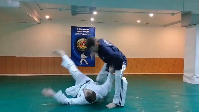 Всемирная фелерация джиу-джитсу и кобудо