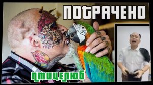 Потрачено. Птицелюб. Лучшие приколы, смешные видео и фейлы