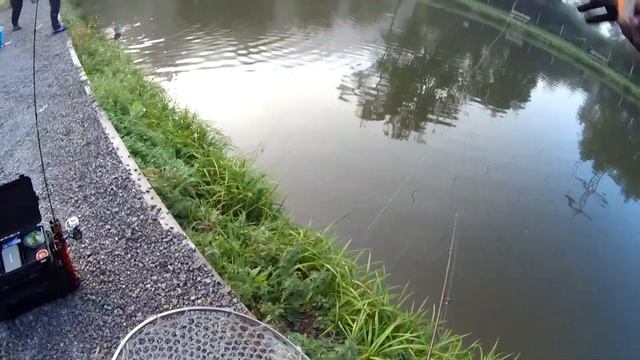 Открываем не закрытый сезон!/Прудовая форель осенью/Карпы на силикон!!!