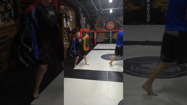 Смешанные единоборства (ММА) VID 4 смотреть онлайн