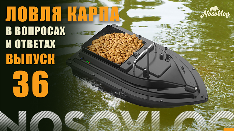 Карпфишинг в вопросах и ответах, выпуск 36, Колесников А. смотреть онлайн