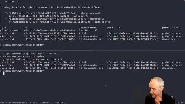 Booting our 2022 live stream series with a review of Developer Keynote btp CLI scripting смотреть онлайн