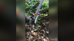 Сучкорез Skrab обзор