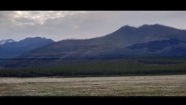 Баргузинская долина. Июнь 2021 года смотреть онлайн