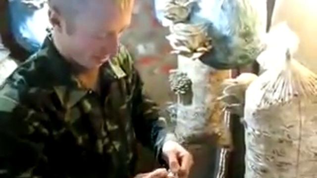 Выращивание грибов ВЕШЕНКИ в подвале.avi смотреть онлайн