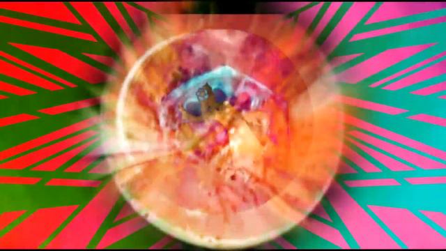 LOOKING AT THE SUN Peter Blegvad and Andy Partridge смотреть онлайн