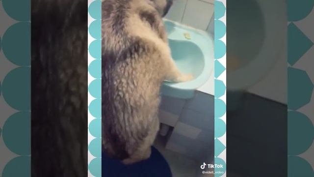 душ принять. mp4 смотреть онлайн