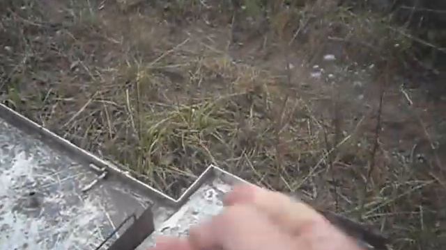 Притравка РУМБЫ по борсуку 002 смотреть онлайн