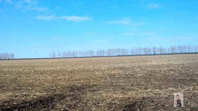 Деревенский влог/Червяки для супа/Квартирный кот первый раз на улице/Весенний лес/Пение птиц смотреть онлайн