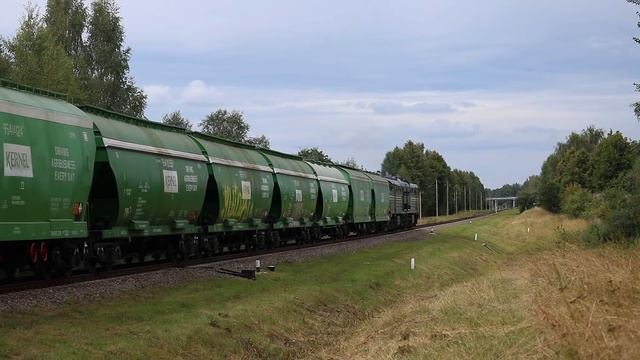 Тепловозы 2ТЭ10М-2894 и М62-1547 с грузовыми составами на перегоне Полоцк/Ропнянский/Полоцк смотреть онлайн