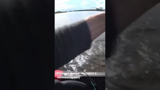 Поездка на пилагического судака на озеро Ильмень, река Ловать #рыбалка #рыбалкасгидом #отдых #relax смотреть онлайн