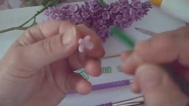 МК . Лепим цветочки сирени.DSCN0026 смотреть онлайн