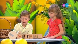 «Лапы, Морды и Хвосты» - Сова - Дьяченко Мария - Карусель ТВ - 2018