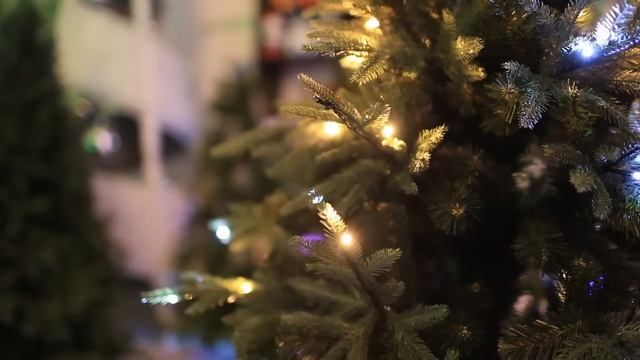 GREEN TREES - ведущий производитель искусственных елок в России смотреть онлайн