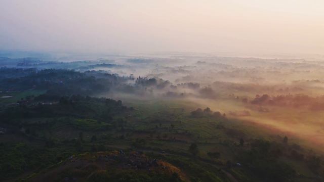 Rodney's Glory hornpipe on the cello смотреть онлайн