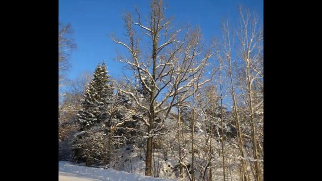 Vinter Bilder