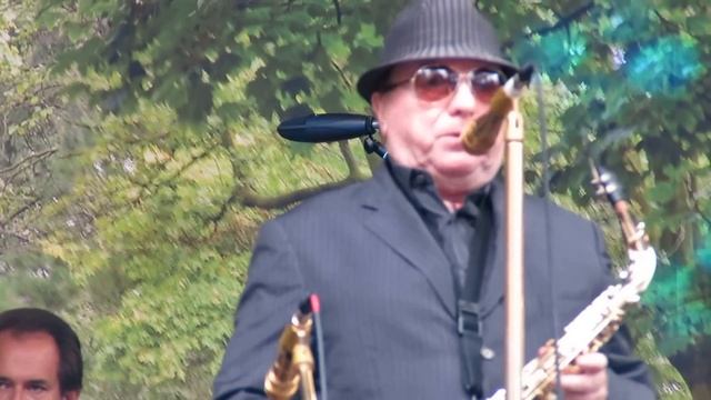 Van Morrison - Days Like This (live on Cyprus Avenue - Early show) смотреть онлайн