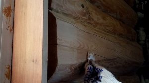 Шпатлёвка по дереву своими руками. ПВА + опилки