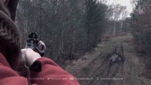 Охота на кабанов.ТОП-10!