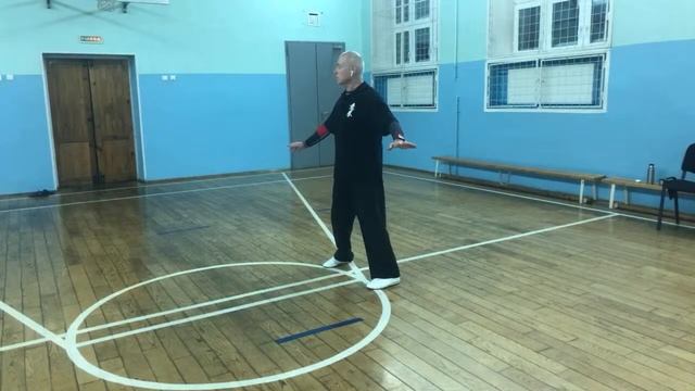 Тренировка Ицюань / Yiquan Workout. Обзор столбов по программе на 2-й уровень / 1-я часть (8.02.21) смотреть онлайн