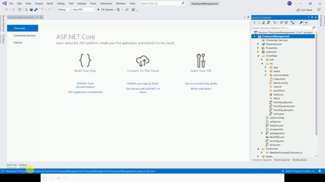 ASP.NET Core Tutorial in Tamil (Part -13 ASP.NET Core Application with Angular) смотреть онлайн