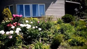 Как сформировать идеальную кромку газона