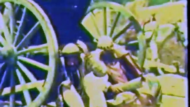 Вот, опять Насреддин смотреть онлайн