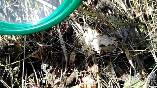 3 способа развести огонь без спичек смотреть онлайн