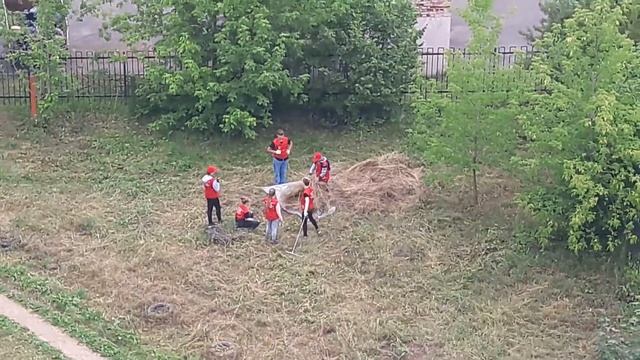 Молодой отряд мэра города Электросталь смотреть онлайн