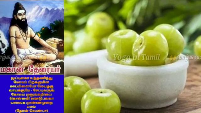 Amla - Gooseberry | சித்தர் தேரையர் | நெல்லிக்காய் | siddhar song | Yoga in Tamil. смотреть онлайн