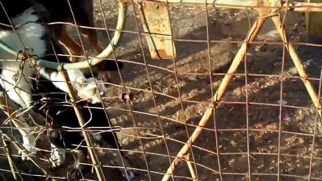 Как должен выглядеть мужчина в 50 лет смотреть онлайн