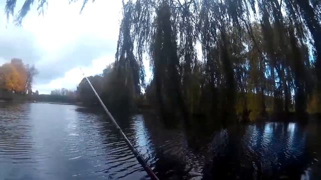 Ловля щуки на живца поплавочной удочкой дальнего заброса. Второй выход смотреть онлайн