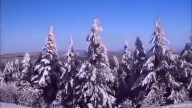 мы родились в//задавайте вопросы//обзор канала