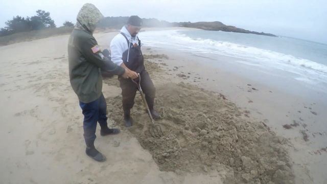 The Real Berkley Gulp "Camo" Sand Worms: How to find them in there Natural Habitat смотреть онлайн