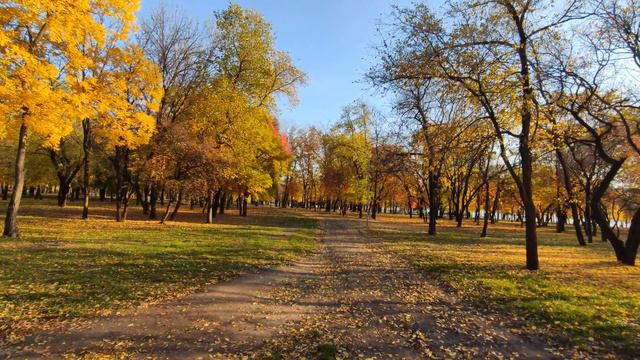 Набережная Богдана Хмельницкого 🌲Кривой Рог смотреть онлайн