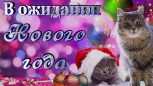 ЗаМУРчательного настроения!