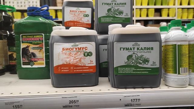 29.07.21.ОРХИДЕИ и не только в Леруа Мерлен на пр. Культуры. смотреть онлайн