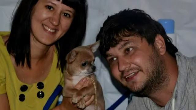 Стальная #свадьба 11 лет #чмопсы #ИзусадьбыИсаковых #чихуахуа #мопс смотреть онлайн