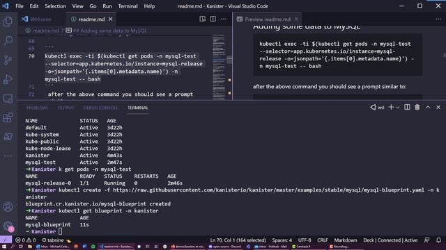 Kanister Overview - An extensible open-source framework for app-lvl data management on Kubernetes смотреть онлайн
