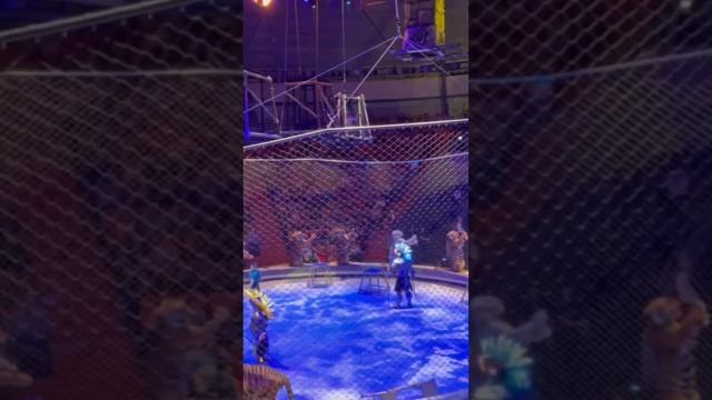 Цирковое шоу братьев Запашных  Нижний Новгород  Декабрь 2022