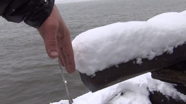 Рыбалка на ельца 20 мая 2018 поплавочная удочка рыба елец ловля ельца наживка веснянка Енисей смотреть онлайн