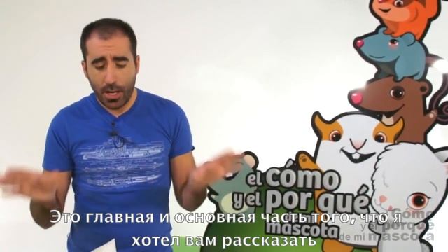 Морские свинки - как часто морские свинки могут размножаться смотреть онлайн