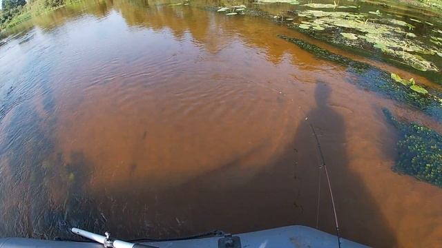 Тест Воблеров из Китая (2- я часть) НЕДОРОГАЯ РЫБАЛКА смотреть онлайн