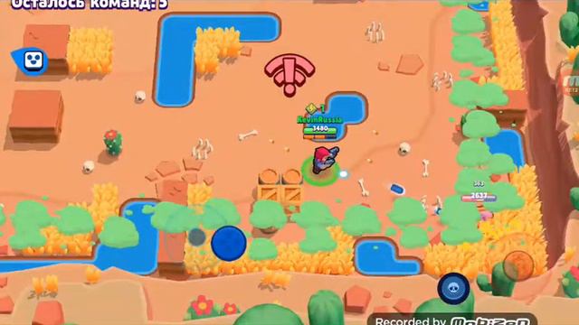 Первое видео! ( может нет).