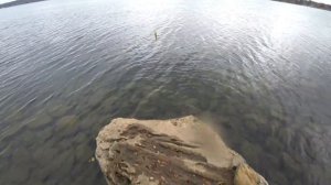 Воблер Pontoon 21 Один из лучших воблеров