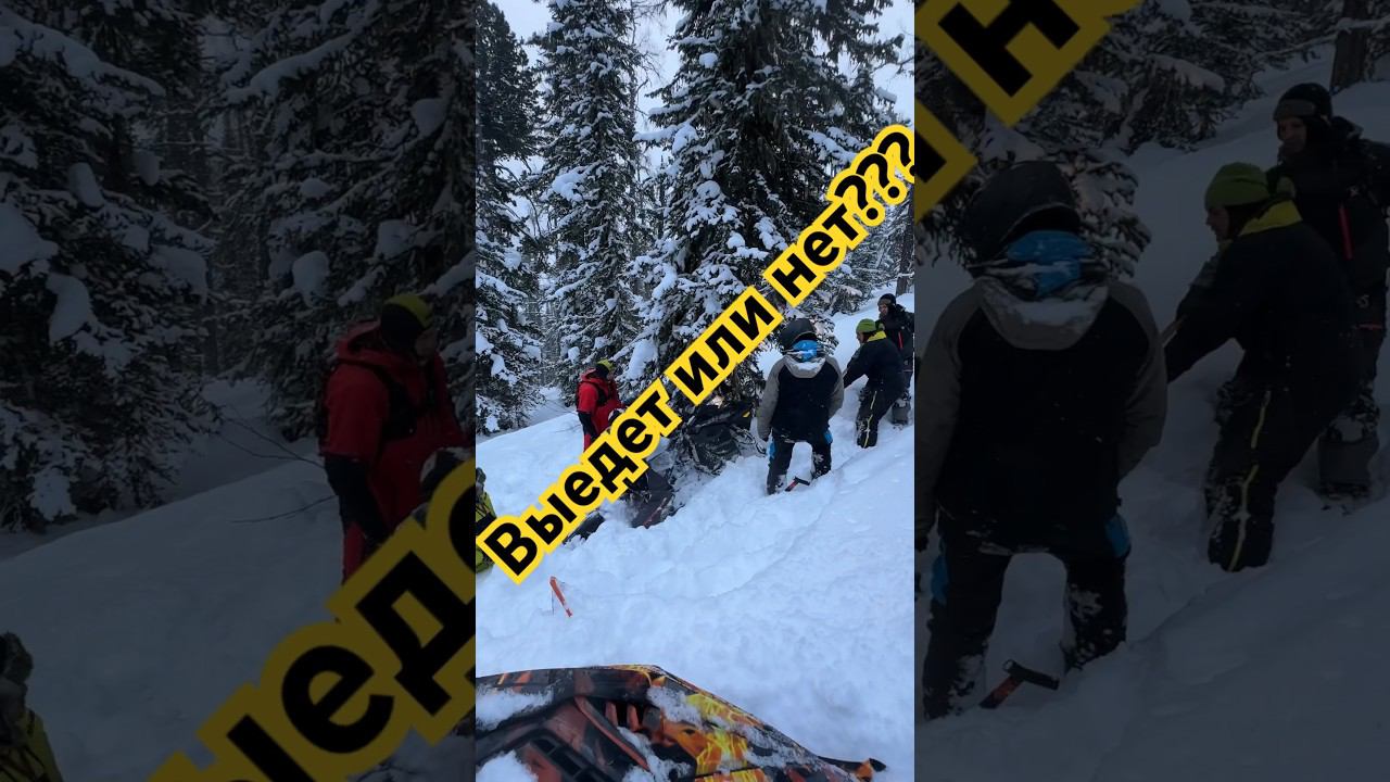 Выедет или нет? #снегоход #алтай #polaris #brp #summit смотреть онлайн