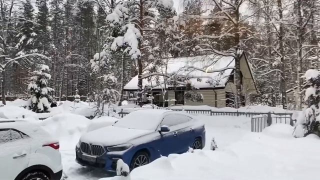 На это стоит съездить и посмотреть, царство королевство смотреть онлайн